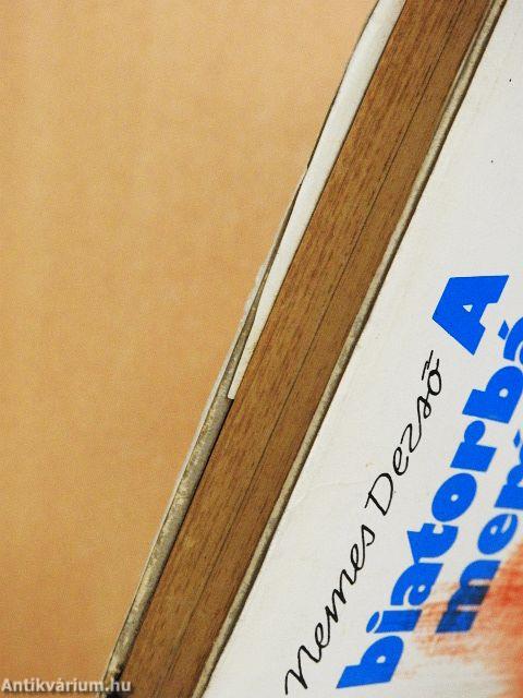 A biatorbágyi merénylet és ami mögötte van...