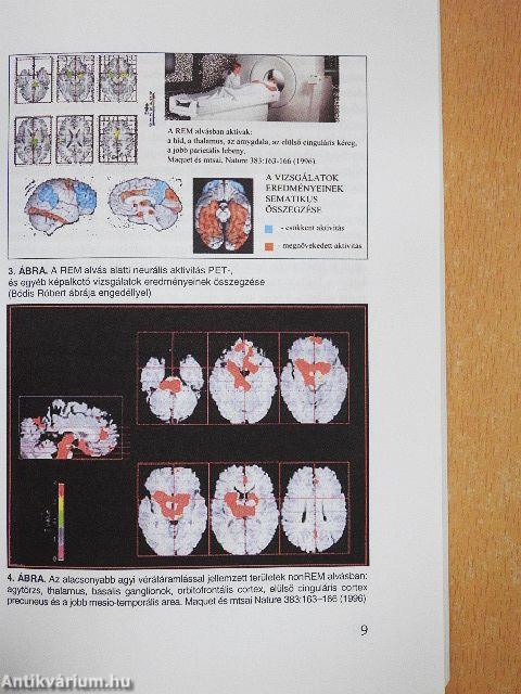 Alvásmedicina a gyakorlatban