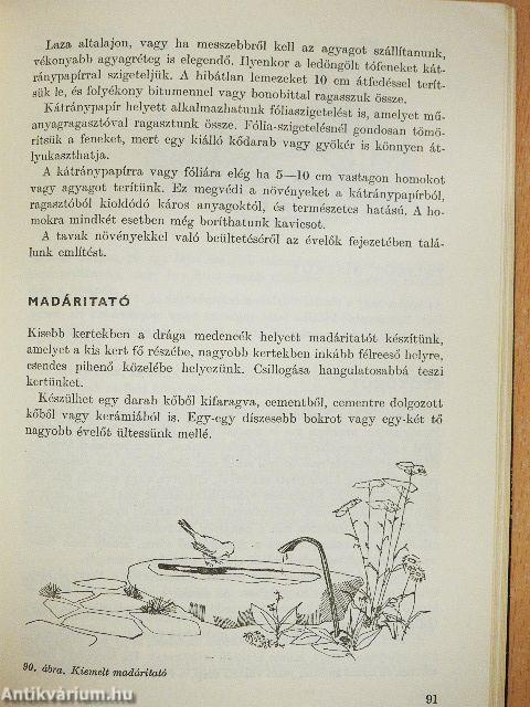 A családi ház kertje