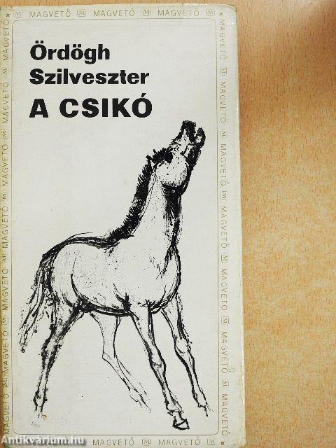 A csikó