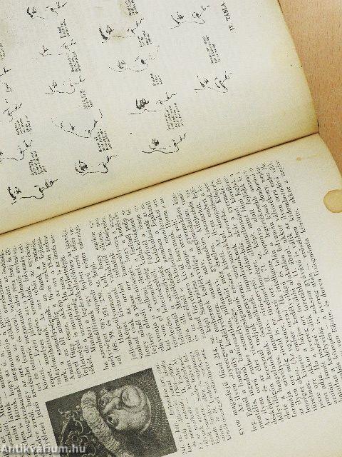 Önismeret-Emberismeret