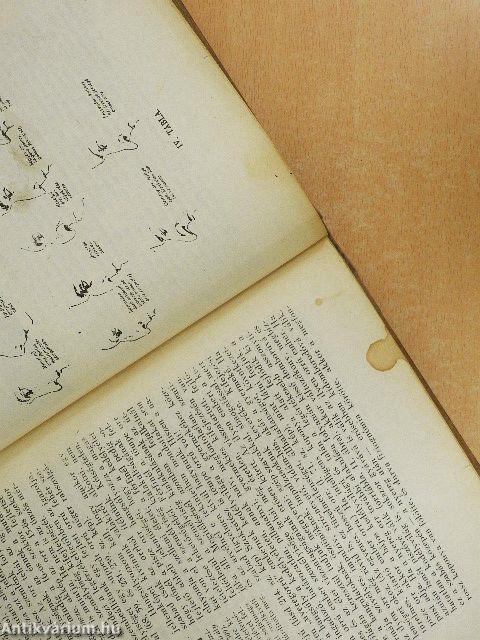 Önismeret-Emberismeret