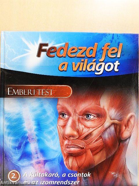 Emberi test - A kültakaró, a csontok és az izomrendszer