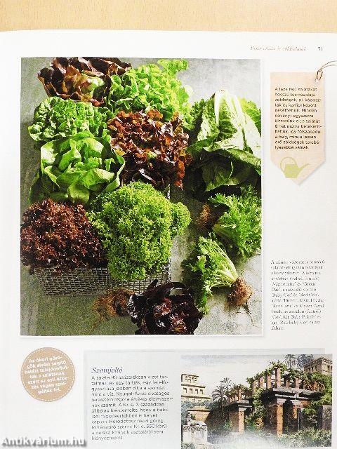 Zöldségek nagykönyve