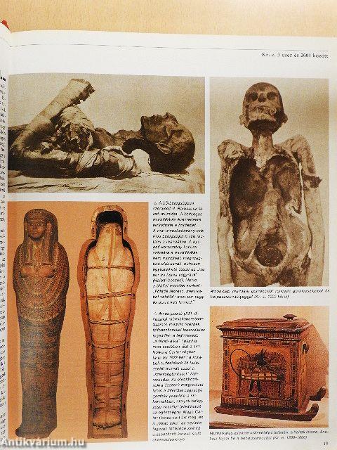 A medicina krónikája