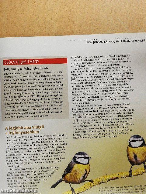 Titokzatos természet