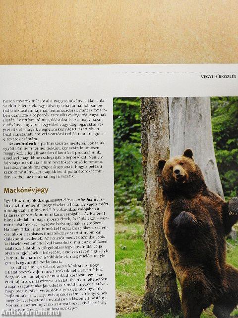 Titokzatos természet