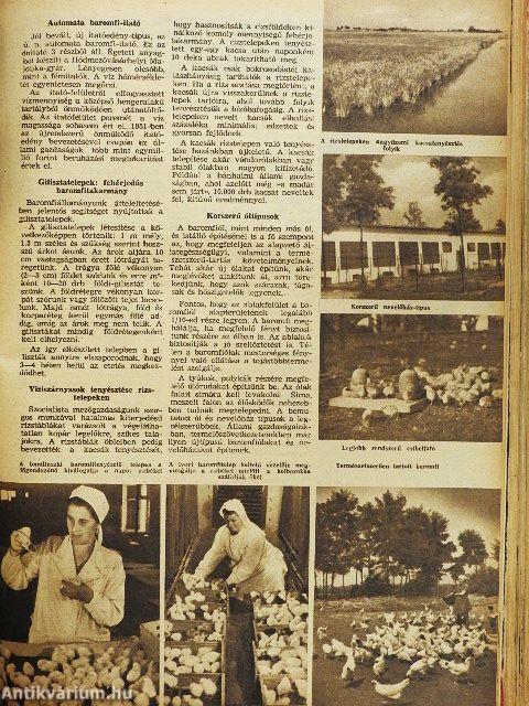 Természet és Technika 1950-1951.; 1953-1954. (vegyes számok) (10 db)