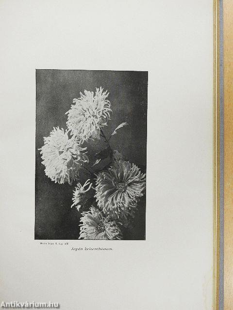 Az Északi Sarktól a Déli Sarkig