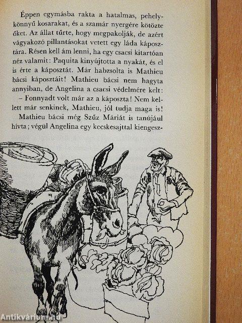 Belle és Sébastien