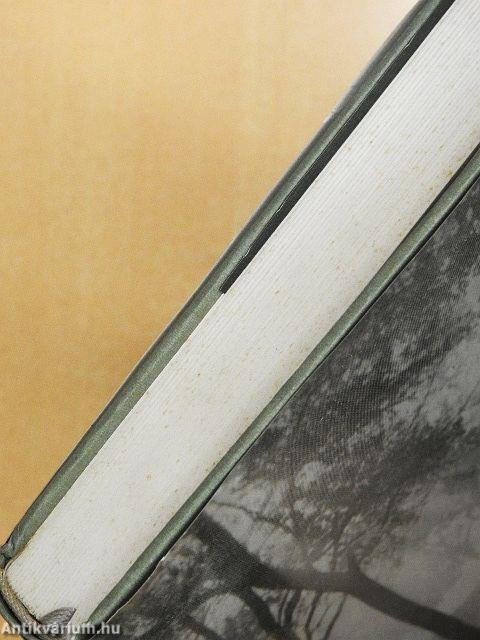 A hullócsillag éve