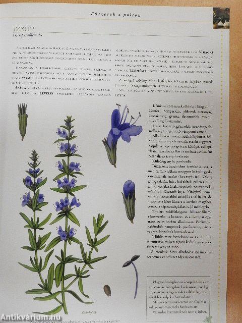 A természet kincseskamrája