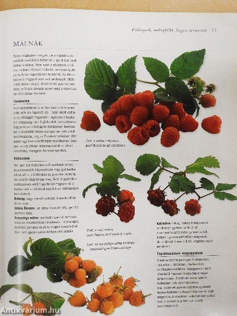 Gyümölcsenciklopédia