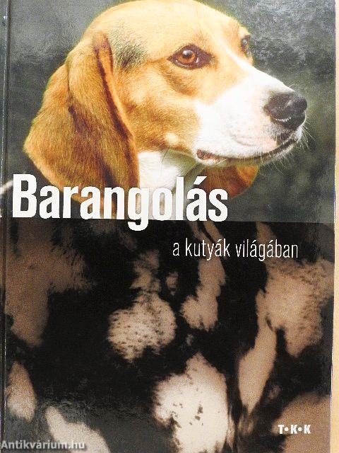 Barangolás a kutyák világában