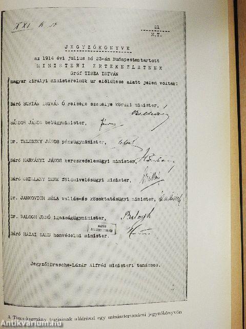 Magyar minisztertanácsi jegyzőkönyvek az első világháború korából II.