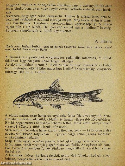 A horgászat kézikönyve