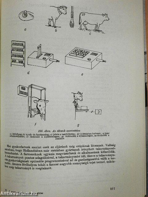 A szarvasmarhatartás gépesítése