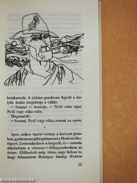 Pireneusi rapszódia