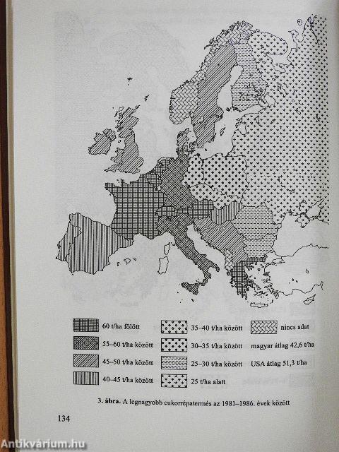 Családi gazdaságok