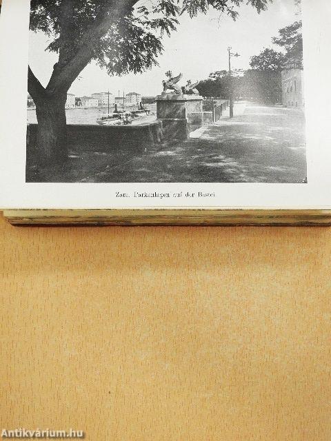 Illustrierter Führer durch Dalmatien (Abbazia-Lussin)