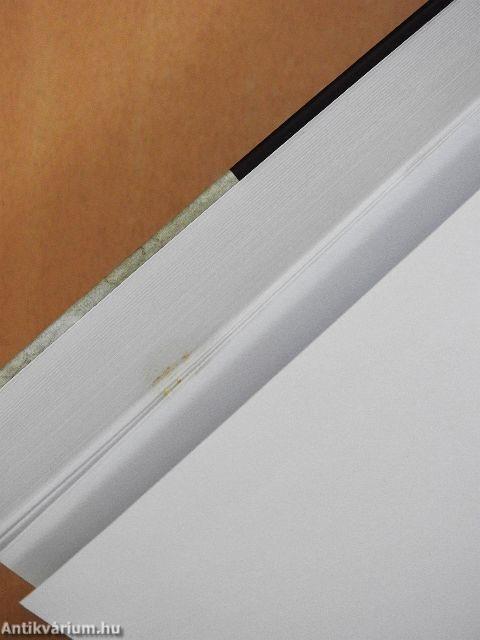 Rendszerváltások kortársa és kutatója