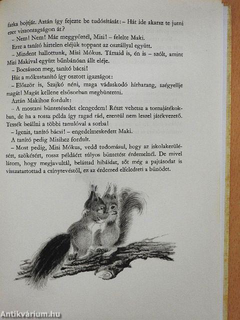 Misi Mókus kalandjai