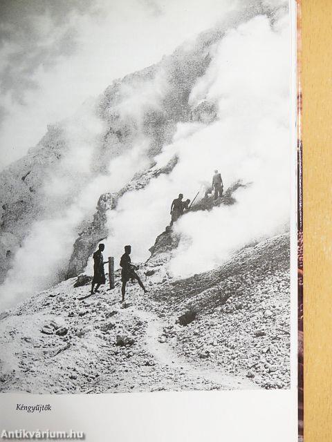 Titokzatos állatok nyomában