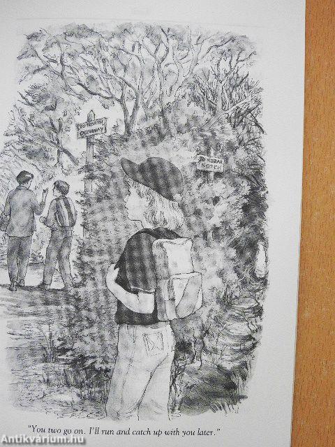 The Girl who Loved Tom Gordon