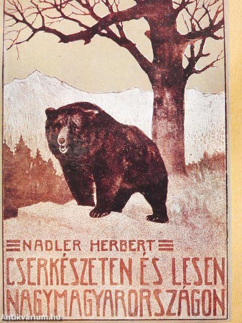 Cserkészeten és lesen Nagymagyarországon