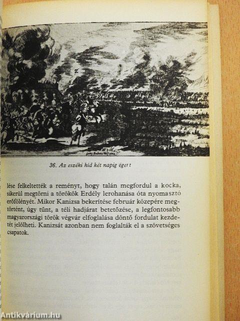 A magyar romlásnak századában