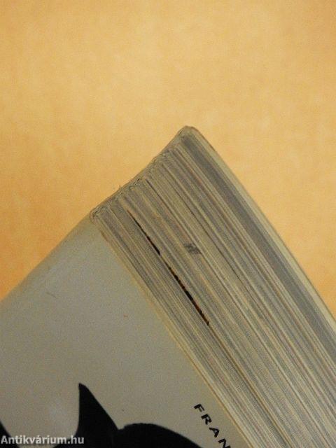 Divat a XX. században