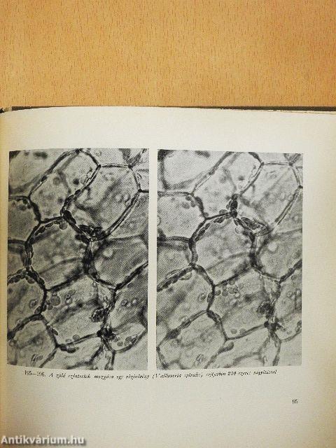 Mikroszkóppal az élet nyomában