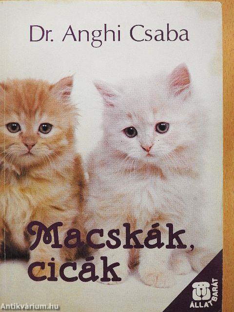 Macskák, cicák