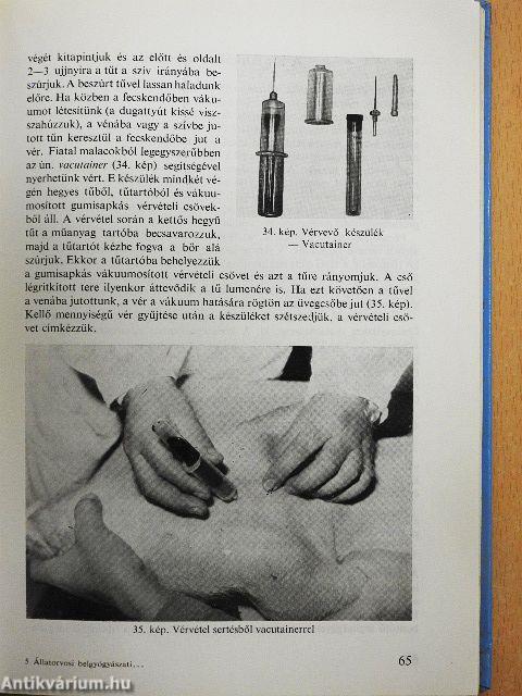 Állatorvosi belgyógyászati laboratóriumi diagnosztika