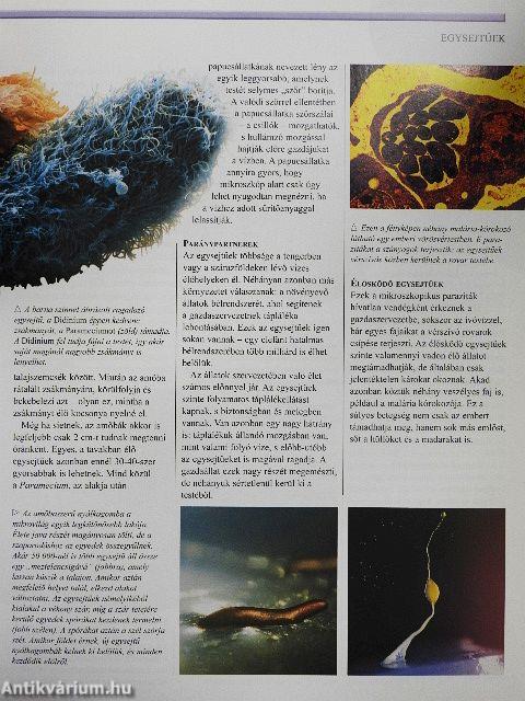 A természet enciklopédiája