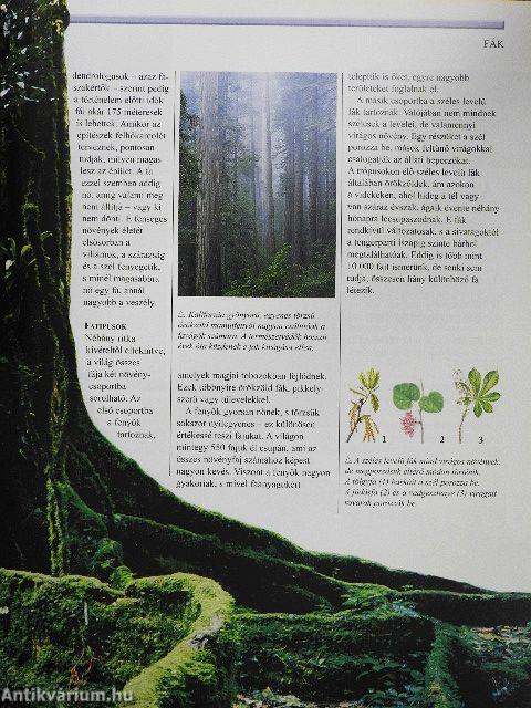 A természet enciklopédiája