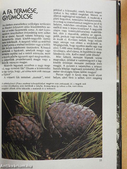 Az erdők nagy képeskönyve