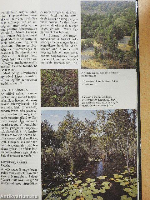 Az erdők nagy képeskönyve