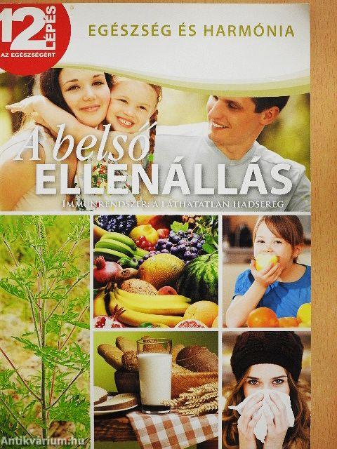 A belső ellenállás