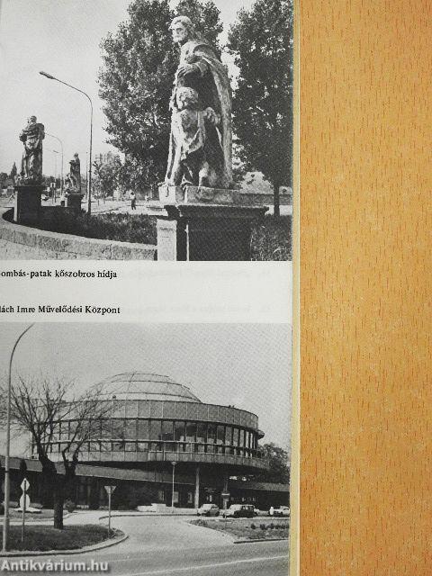 Vác és a Börzsöny vidéke