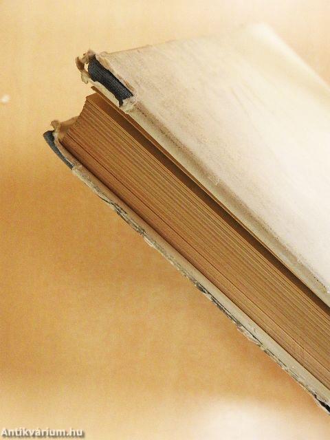 Die frühe Italienische Malerei I.