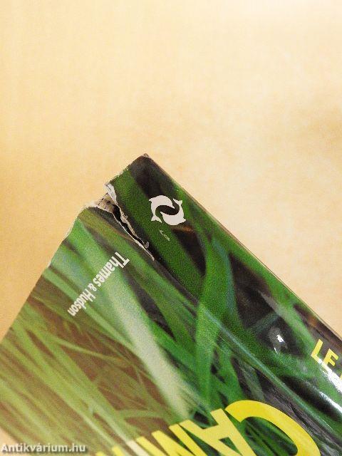 Le Nouveau Style Campagne