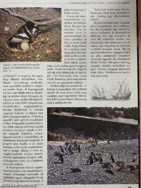 Barangolások Dél-Amerikában