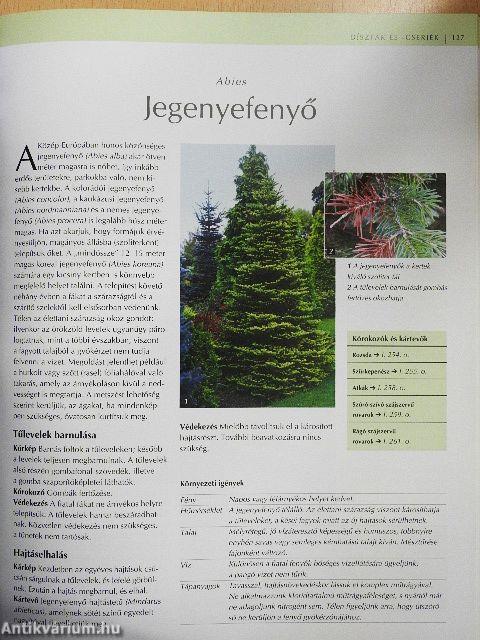 Mi a baj a növényemmel?