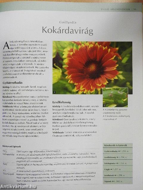 Mi a baj a növényemmel?