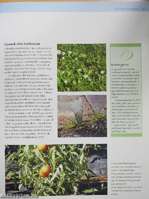 Mi a baj a növényemmel?