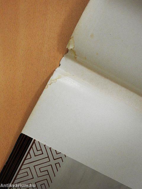 Potiská Kultúra na Vychodnom Slovensku