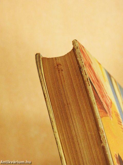 Kossuth Lajos tengerésze