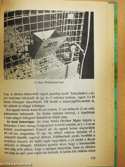 A csincsilla tenyésztése