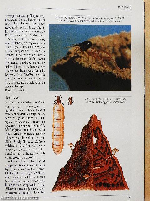 Az állatvilág nagy képes enciklopédiája